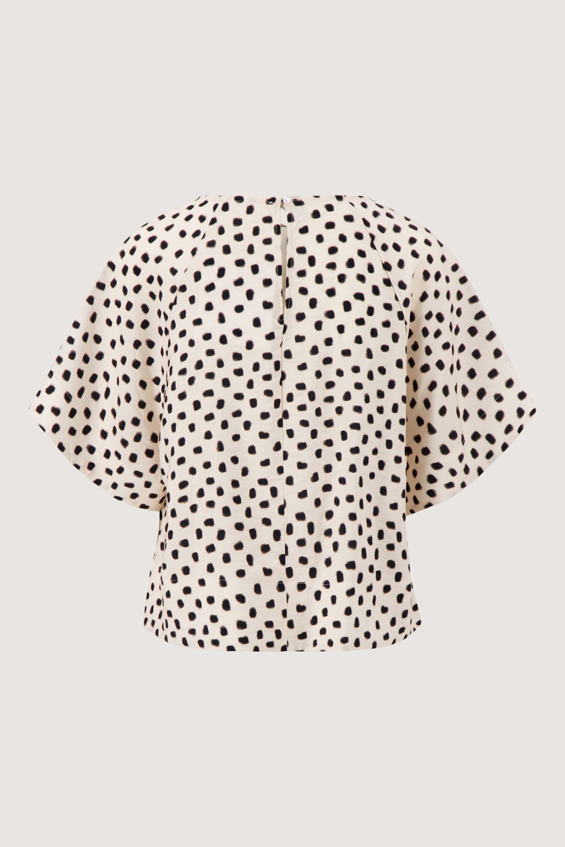 Raglan stippen top