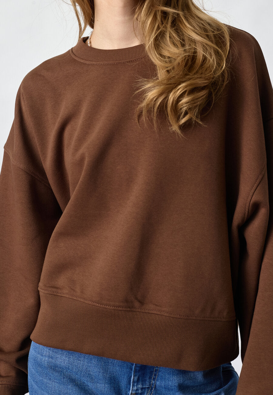Hike sweater - brown